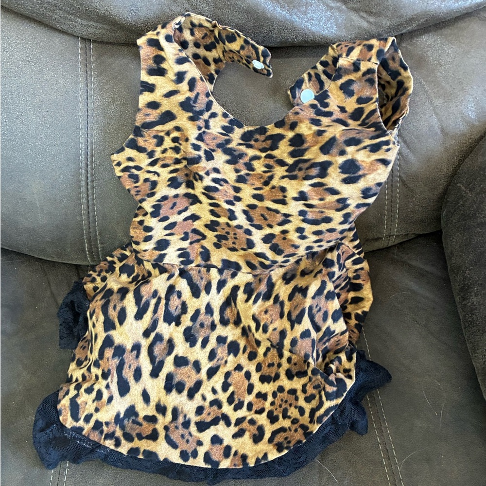 Leopard Print Sleeveless Dress